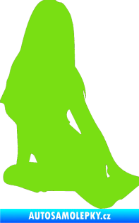 Samolepka Erotická žena 004 levá zelená kawasaki