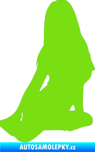 Samolepka Erotická žena 004 pravá zelená kawasaki