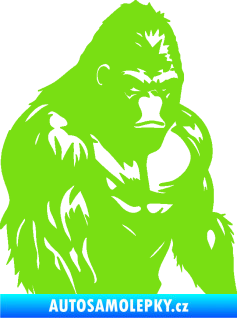 Samolepka Gorila 004 pravá zelená kawasaki