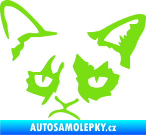 Samolepka Grumpy cat 001 levá zelená kawasaki