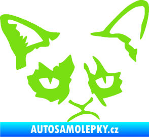 Samolepka Grumpy cat 001 pravá zelená kawasaki
