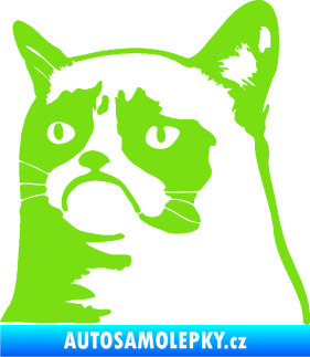 Samolepka Grumpy cat 002 levá zelená kawasaki