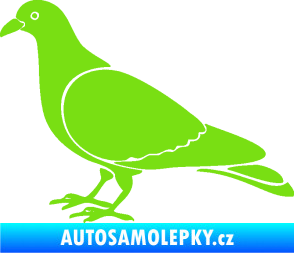 Samolepka Holub 002 levá zelená kawasaki