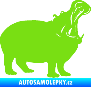 Samolepka Hroch 002 pravá zelená kawasaki