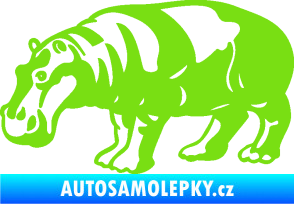 Samolepka Hroch 003 levá zelená kawasaki