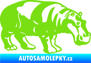 Samolepka Hroch 003 pravá zelená kawasaki