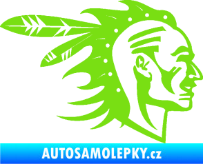 Samolepka Indián 003 pravá zelená kawasaki