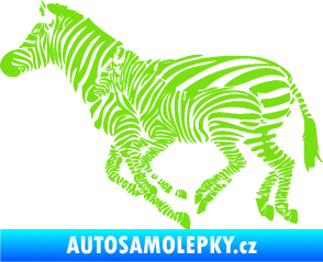 Samolepka Interiér 020 levá zebry zelená kawasaki