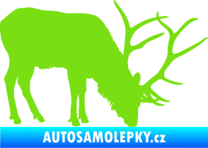 Samolepka Jelen 008 pravá zelená kawasaki