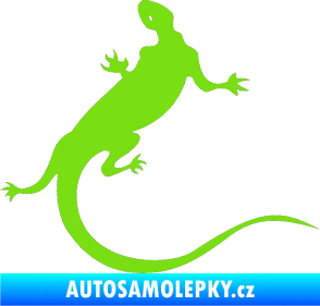 Samolepka Ještěrka 004 pravá zelená kawasaki