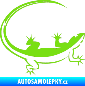 Samolepka Ještěrka 010 pravá zelená kawasaki