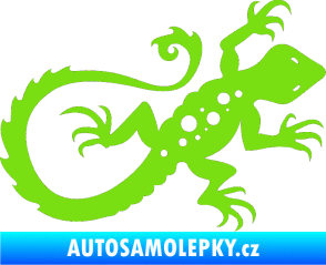 Samolepka Ještěrka 012 pravá zelená kawasaki