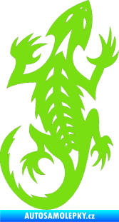 Samolepka Ještěrka 014 pravá zelená kawasaki