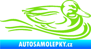 Samolepka Kachna 003 pravá ve vodě zelená kawasaki