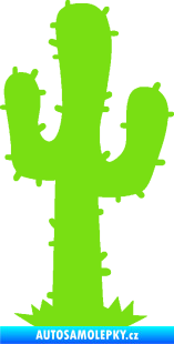 Samolepka Kaktus 001 pravá zelená kawasaki