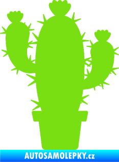 Samolepka Kaktus 003 levá zelená kawasaki