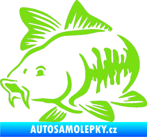 Samolepka Kapr 001 levá zelená kawasaki