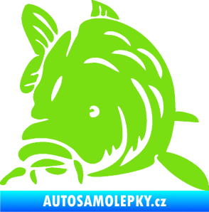 Samolepka Kapr 002 levá zelená kawasaki