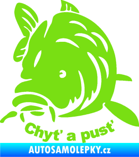 Samolepka Kapr 003 chyť a pusť zelená kawasaki