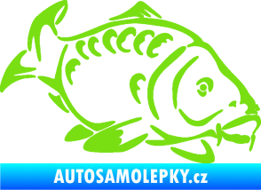 Samolepka Kapr 006 pravá zelená kawasaki