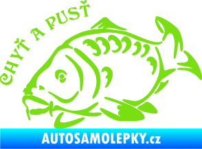 Samolepka Kapr 007 chyť a pusť zelená kawasaki
