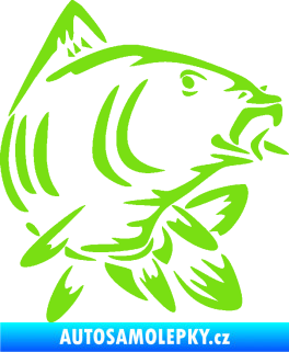 Samolepka Kapr 009 pravá zelená kawasaki