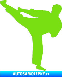 Samolepka Karate 008 levá zelená kawasaki