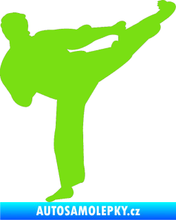 Samolepka Karate 008 pravá zelená kawasaki