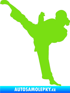Samolepka Karate 012 levá zelená kawasaki