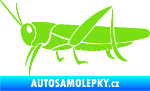 Samolepka Kobylka 002 levá zelená kawasaki