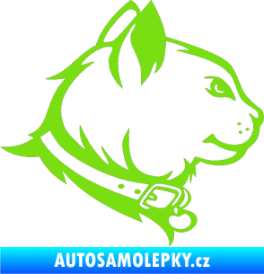 Samolepka Kočka 003 pravá zelená kawasaki