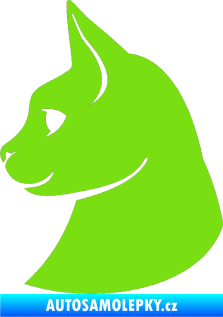 Samolepka Kočka 006 levá zelená kawasaki