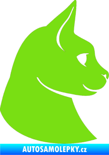 Samolepka Kočka 006 pravá zelená kawasaki