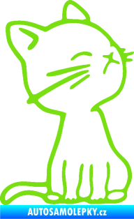 Samolepka Kočka 016 pravá zelená kawasaki