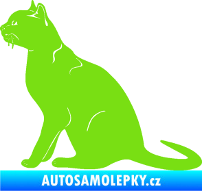 Samolepka Kočka 021 levá zelená kawasaki