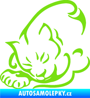Samolepka Kočka 030 levá zelená kawasaki