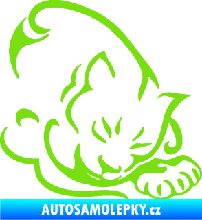 Samolepka Kočka 030 pravá zelená kawasaki