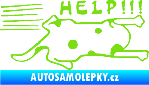 Samolepka Kočka Help samolepka na bok  zelená kawasaki