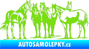 Samolepka Koníci 001 pravá zelená kawasaki