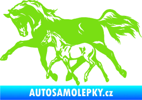 Samolepka Koníci 003 levá kobylka s hříbětem zelená kawasaki