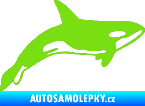 Samolepka Kosatka 001 pravá zelená kawasaki