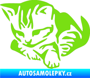 Samolepka Koťátko 003 levá zelená kawasaki