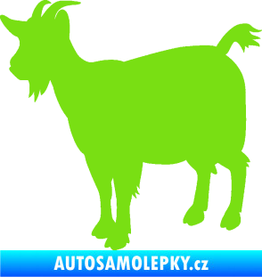 Samolepka Koza 001 levá zelená kawasaki
