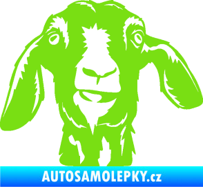 Samolepka Koza 003 pravá zelená kawasaki