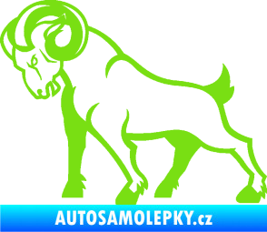 Samolepka Kozel 002 levá zelená kawasaki