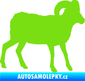 Samolepka Kozel 004 pravá zelená kawasaki