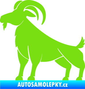 Samolepka Kozel 005 zelená kawasaki