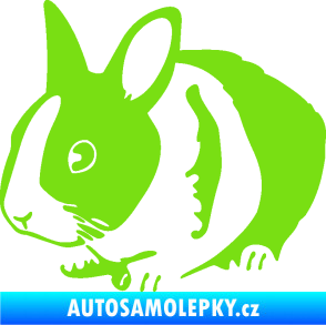 Samolepka Králík 002 levá zakrslý králíček zelená kawasaki