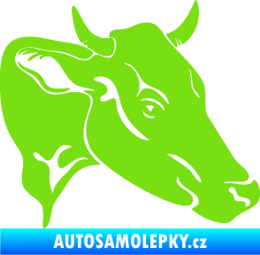 Samolepka Kráva 003 pravá zelená kawasaki