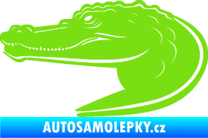 Samolepka Krokodýl 004 levá zelená kawasaki